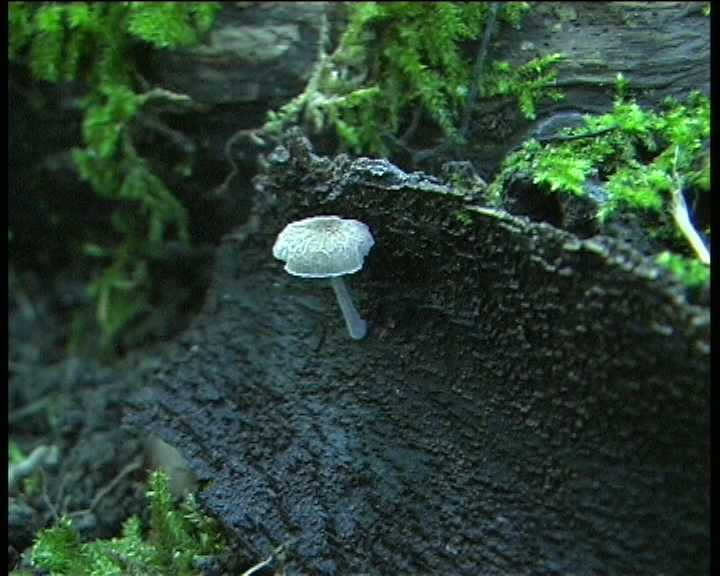 Winkel ( FRA ) 28.08.2004   2 Serie